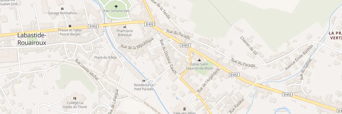 Plan du 19 Rue du Docteur Gauch à Labastide-Rouairoux