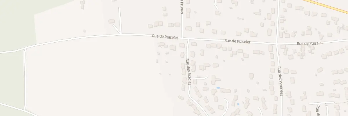 Plan du 61 Rue de Puiselet à Saint-Pierre-lès-Nemours