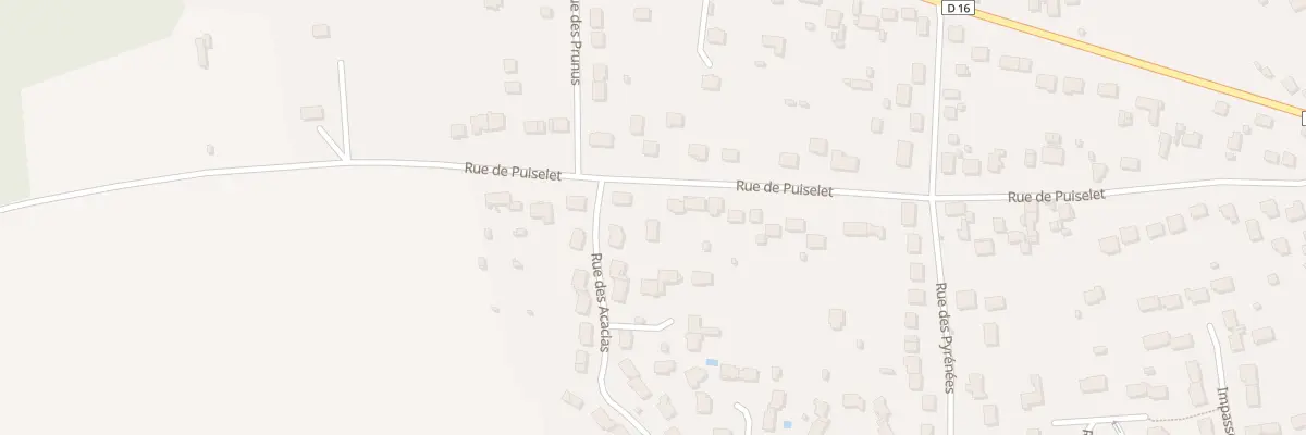 Plan du 55 Rue de Puiselet à Saint-Pierre-lès-Nemours