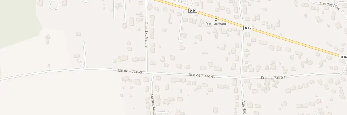 Plan du 46 Rue de Puiselet à Saint-Pierre-lès-Nemours