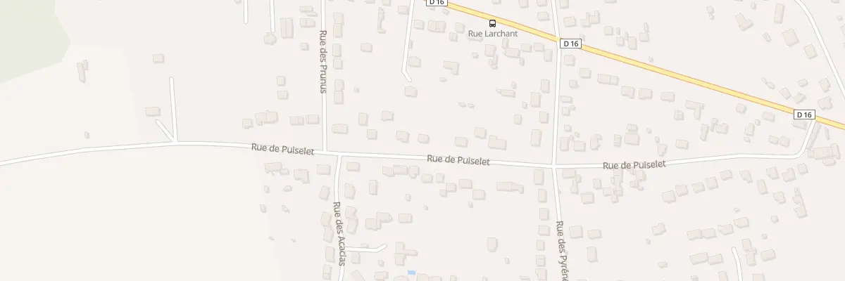 Plan du 42 Rue de Puiselet à Saint-Pierre-lès-Nemours
