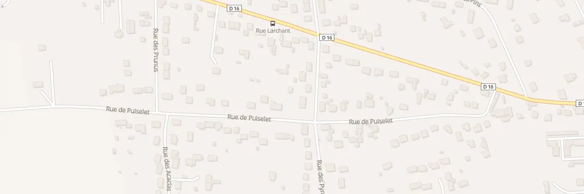 Plan du 30 Rue de Puiselet à Saint-Pierre-lès-Nemours