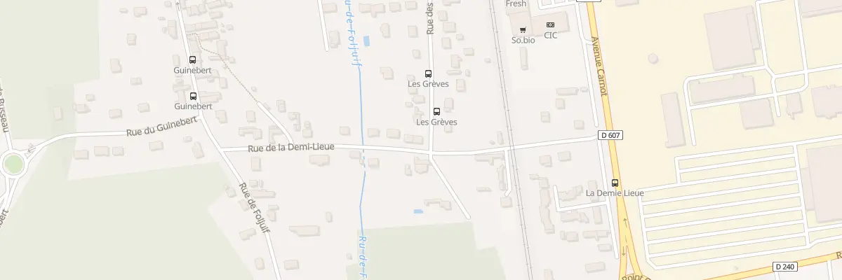 Plan du 19 Rue de la Demi Lieue à Saint-Pierre-lès-Nemours