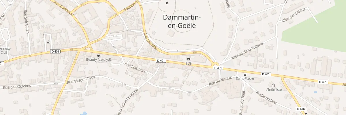 Plan du 161 Rue du Général de Gaulle à Dammartin-en-Goële