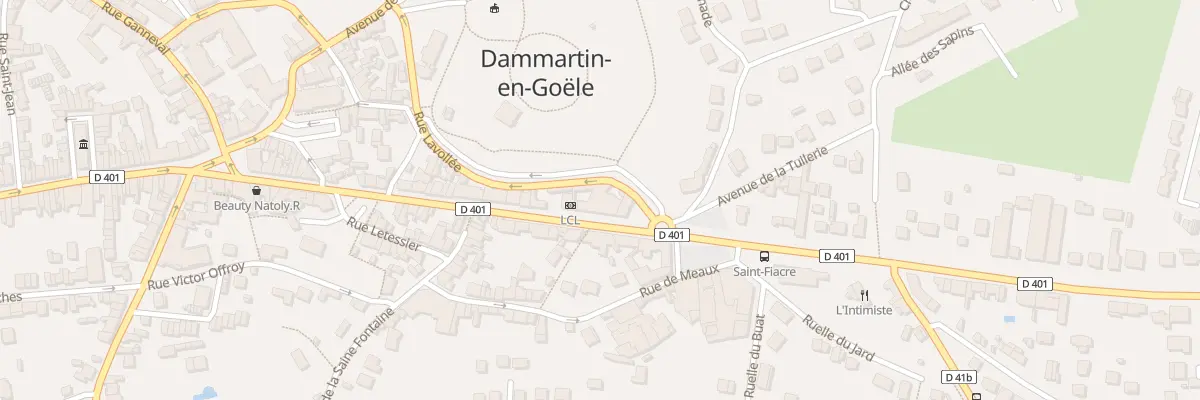 Plan du 169 Rue du Général de Gaulle à Dammartin-en-Goële