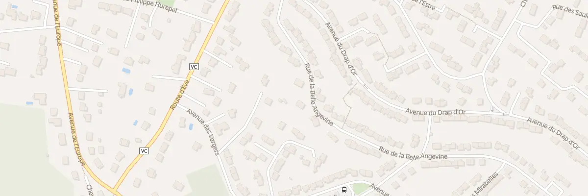 Plan du 20T Rue Belle Angevine à Dammartin-en-Goële