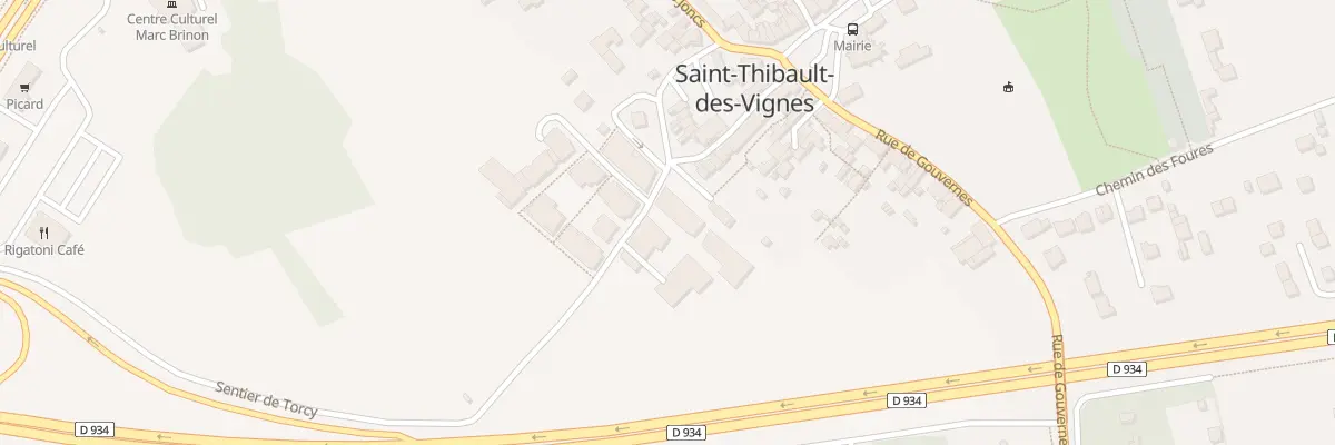 Plan du 17 Rue de Torcy à Saint-Thibault-des-Vignes