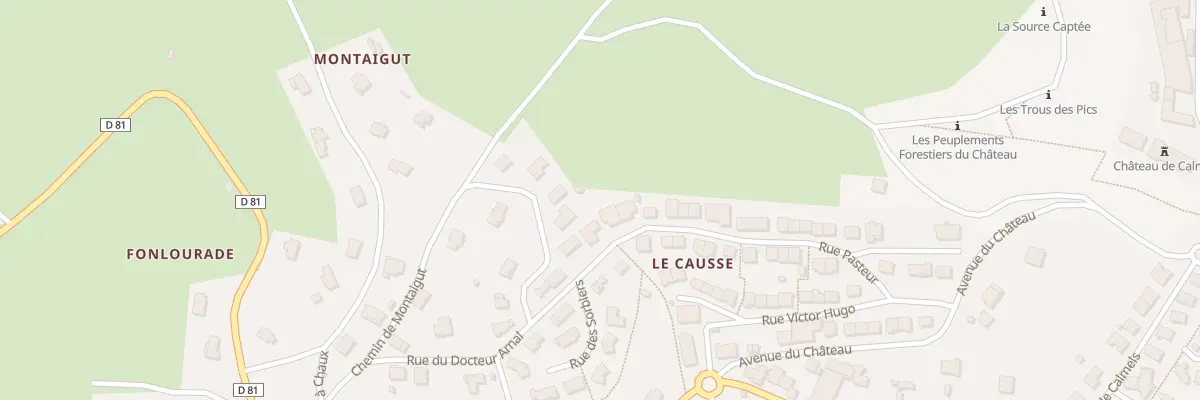 Plan du 44 Rue Pasteur à Lacaune