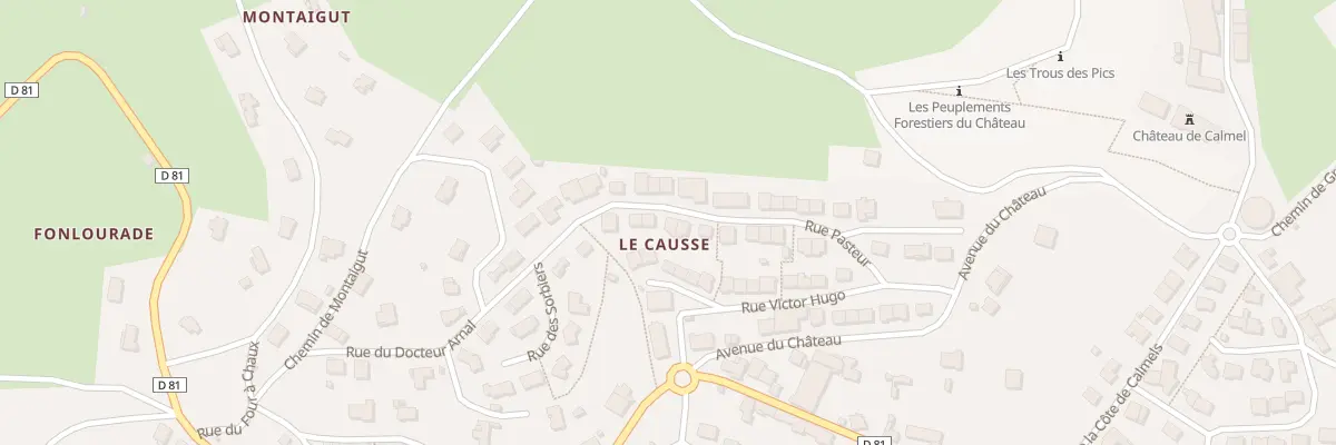Plan du 17 Rue Pasteur à Lacaune