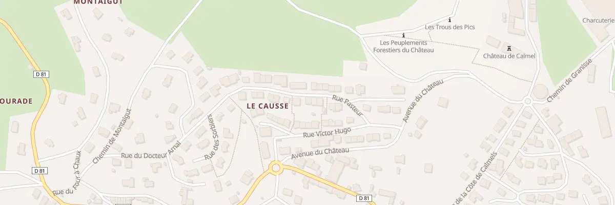 Plan du 9 Rue Pasteur à Lacaune