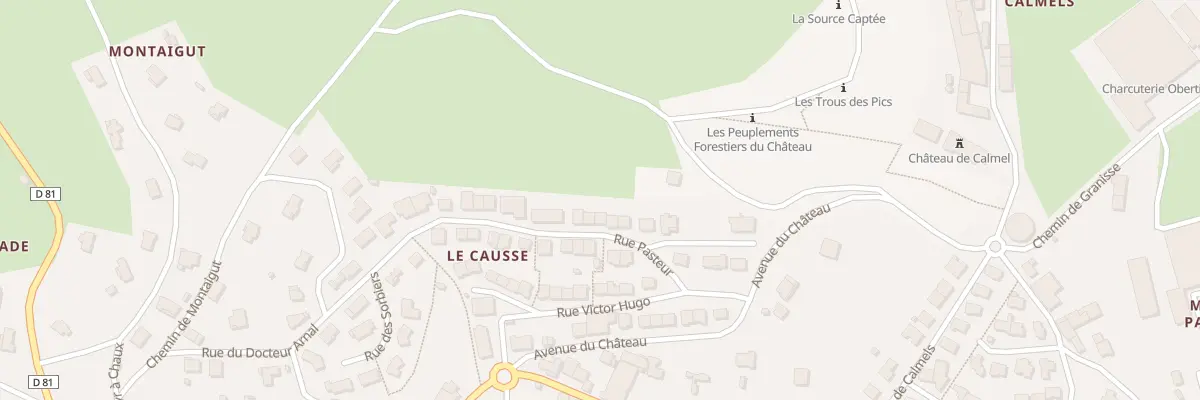 Plan du 26 Rue Pasteur à Lacaune