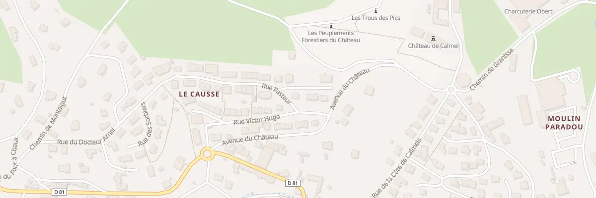 Plan du 2 Rue Pasteur à Lacaune
