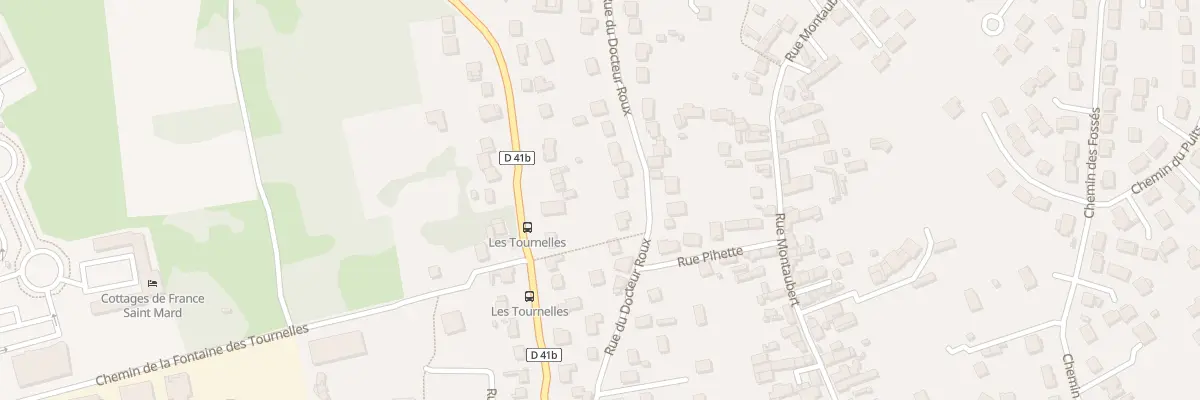 Plan du 21 Rue du Docteur Roux à Saint-Mard