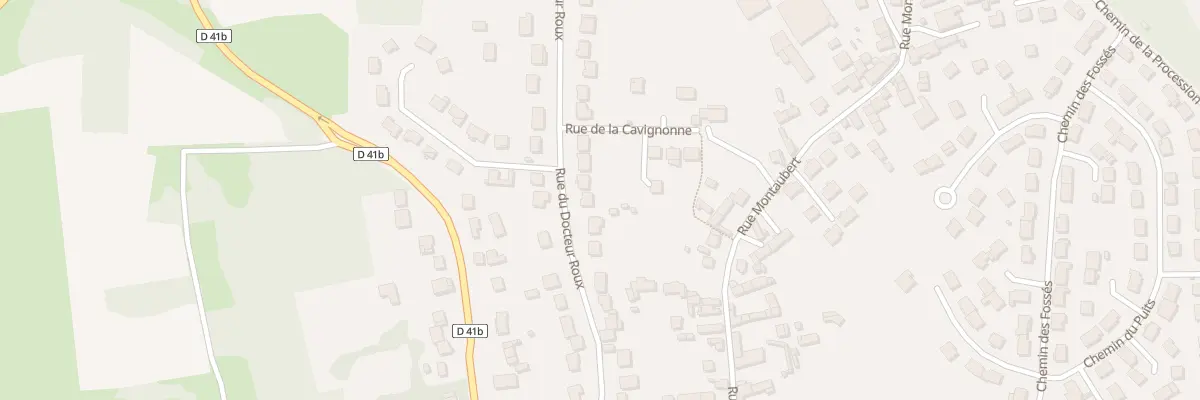 Plan du 38 Rue du Docteur Roux à Saint-Mard