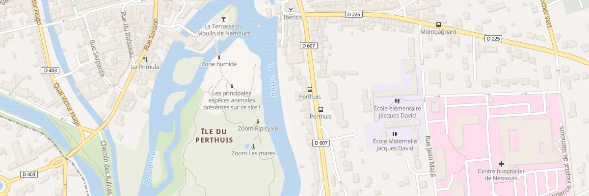 Plan du 21 Av de Lyon à Nemours