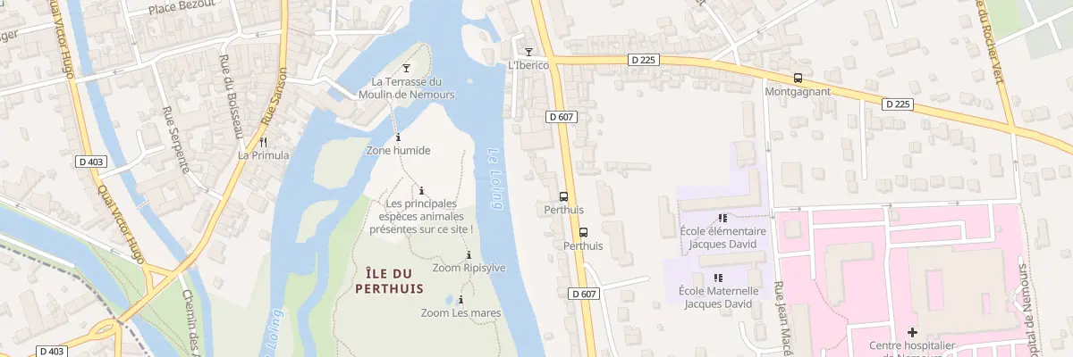 Plan du 17 Av de Lyon à Nemours