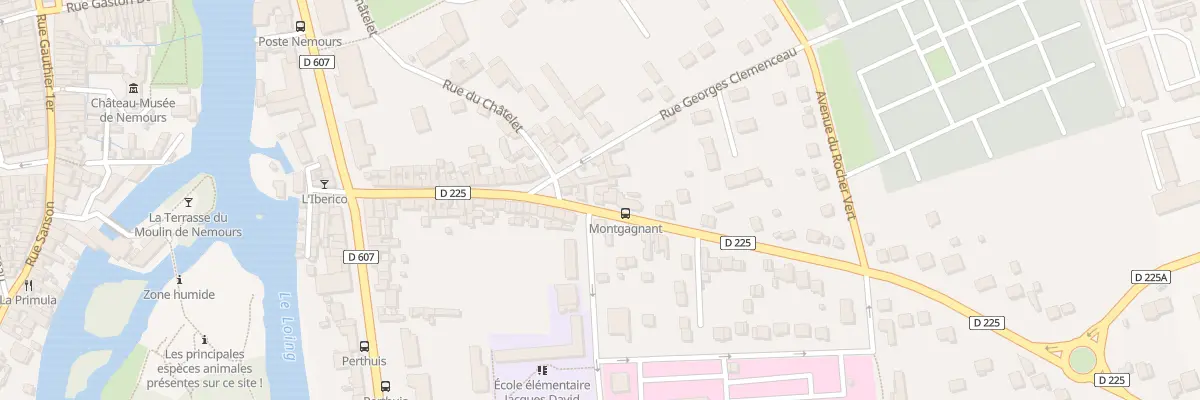 Plan du 45 Rue de Montgagnant à Nemours