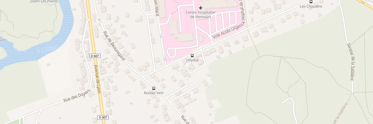 Plan du 10 Rue des Chaudins à Nemours