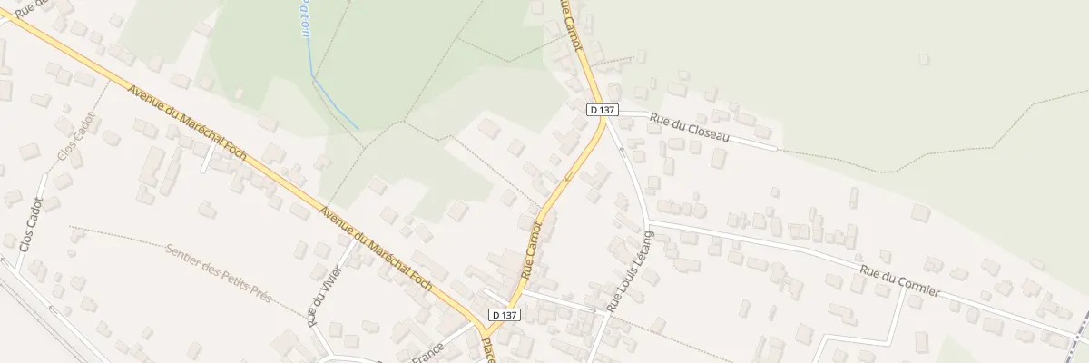 Plan du 19 Rue Carnot à Bois-le-Roi