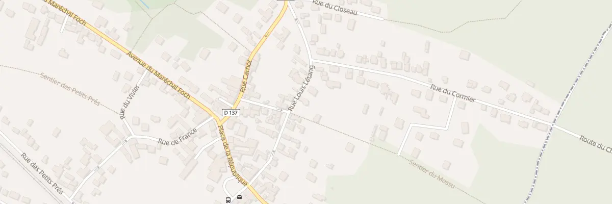 Plan du 19 Rue Louis Letang à Bois-le-Roi