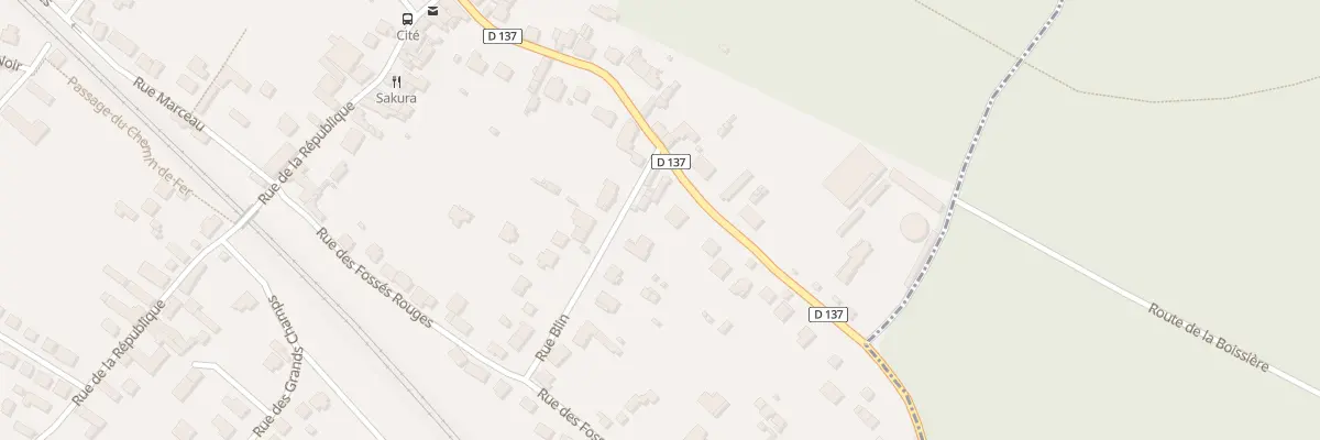 Plan du 20B Av du Maréchal Joffre à Bois-le-Roi