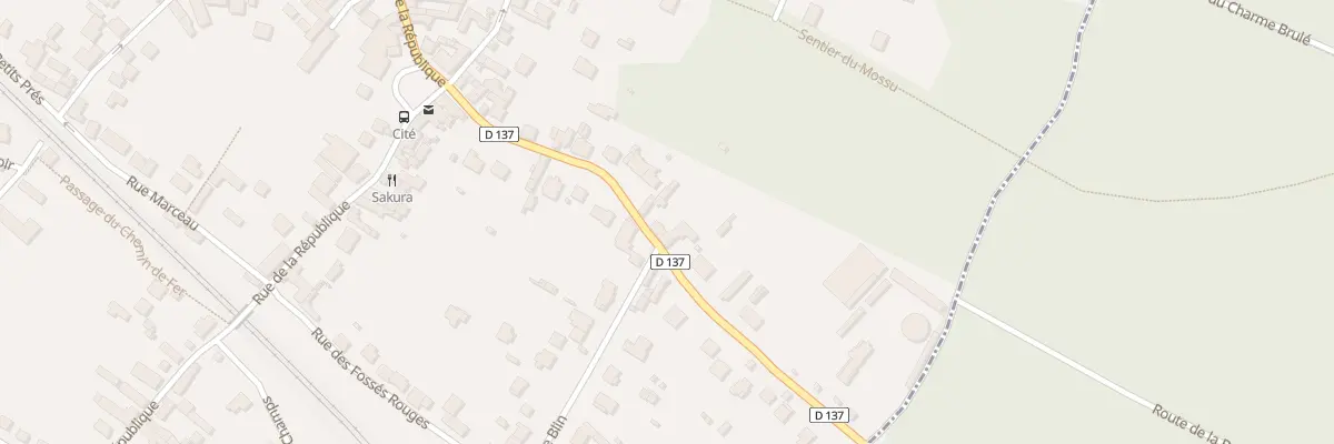 Plan du 17 Av du Maréchal Joffre à Bois-le-Roi