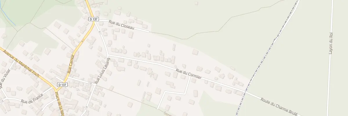 Plan du 39 Rue du Cormier à Bois-le-Roi
