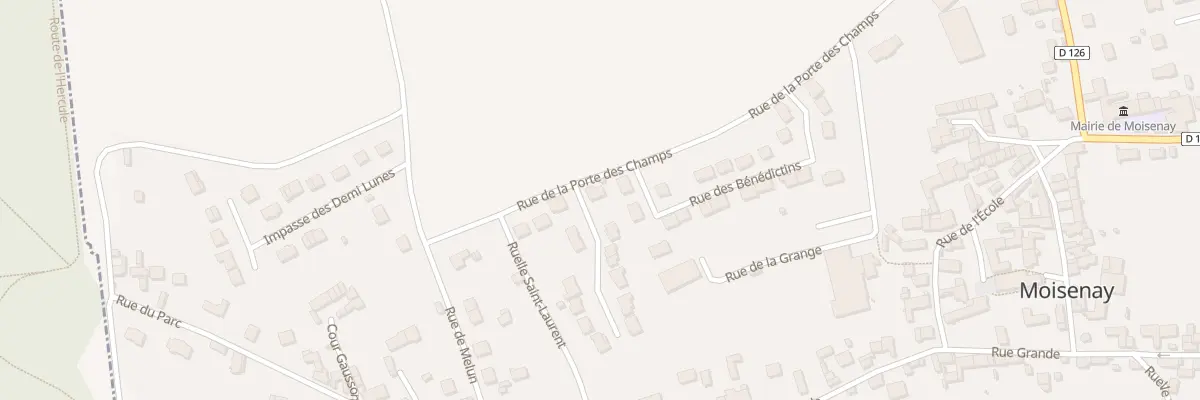 Plan du 1B Rue du Clos Saint-Martin à Moisenay
