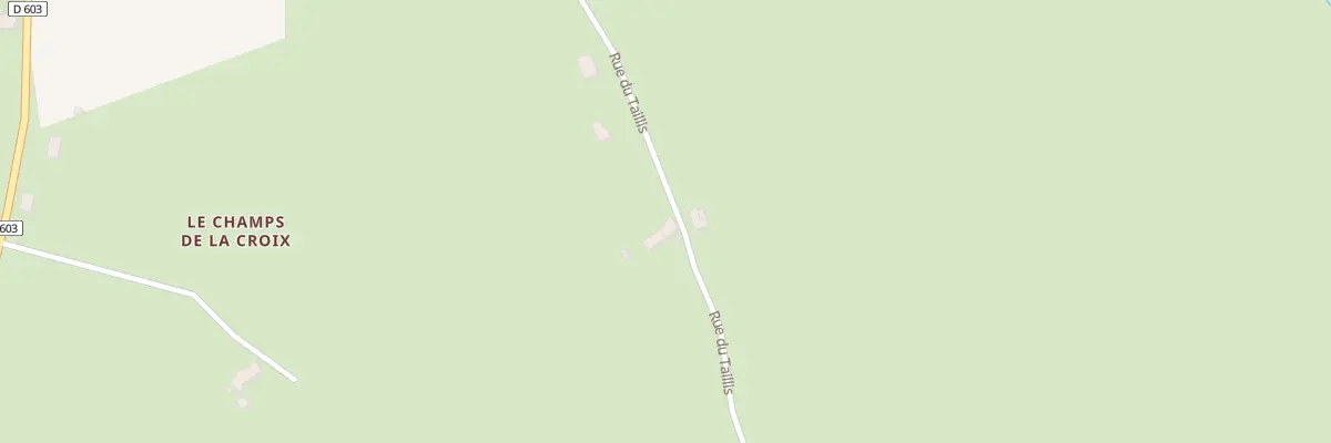 Plan du 20 Rue du Taillis à Bizeneuille