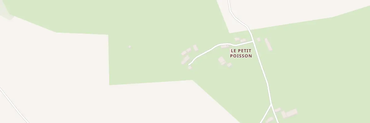 Plan du 5000 Le Petit Poisson à Menetou-Râtel