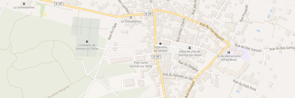 Plan du 45 Rue des Martyrs à Samois-sur-Seine