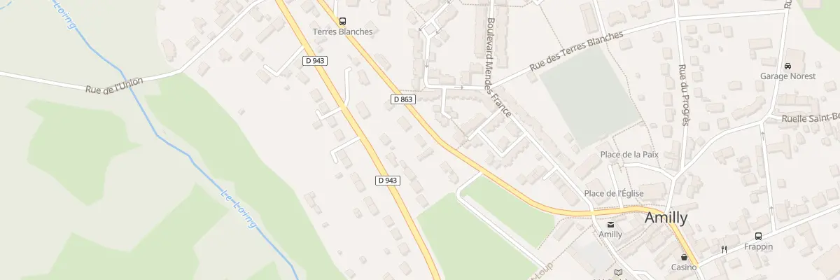 Plan du 363 Rue de la Mairie à Amilly