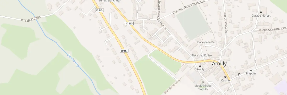 Plan du 319 Rue de la Mairie à Amilly