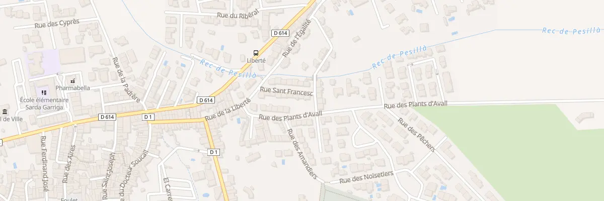 Plan du 16 Rue San Francesc à Pézilla-la-Rivière