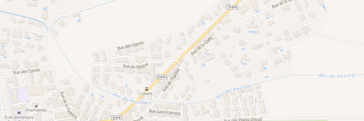 Plan du 29 Rue de l’Egalité à Pézilla-la-Rivière