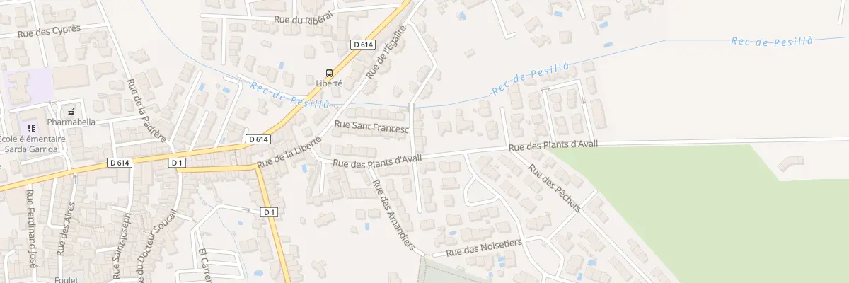 Plan du 21 Rue San Francesc à Pézilla-la-Rivière
