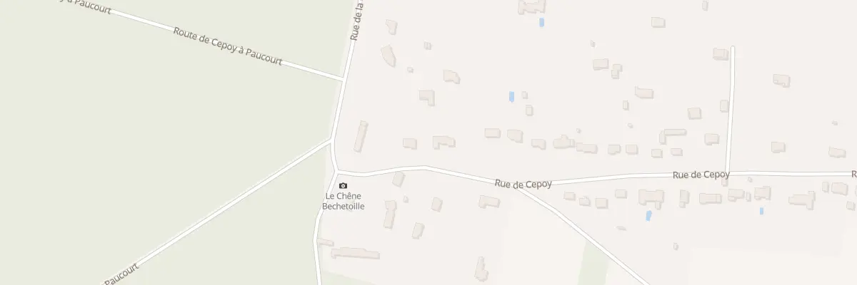 Plan du 748 Rue de Cepoy à Paucourt