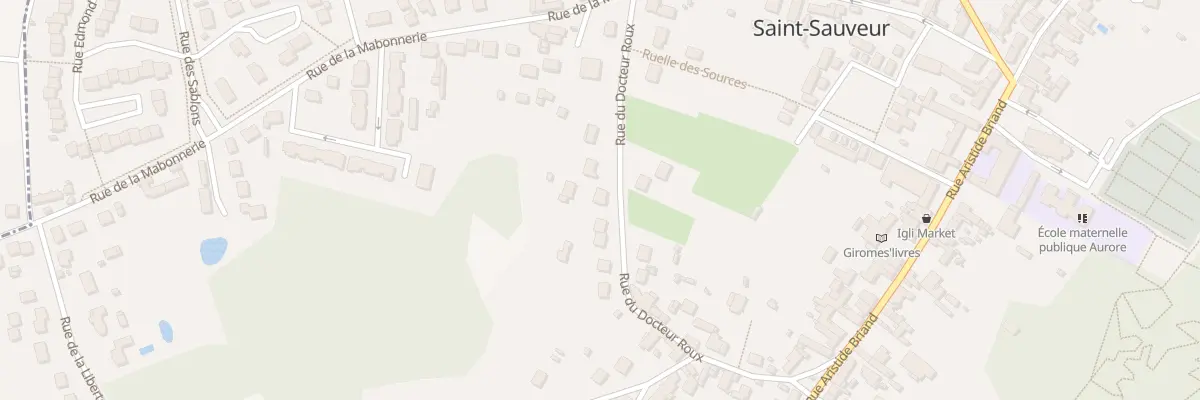 Plan du 233 Rue du Docteur Roux à Saint-Sauveur