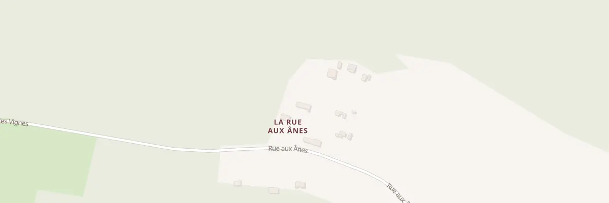 Plan du 14 La Rue aux Anes à Dordives