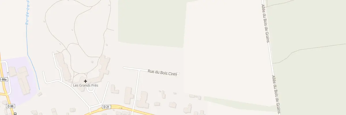 Plan du 31 Rue du Bois Cirey à Villeneuve-Saint-Denis