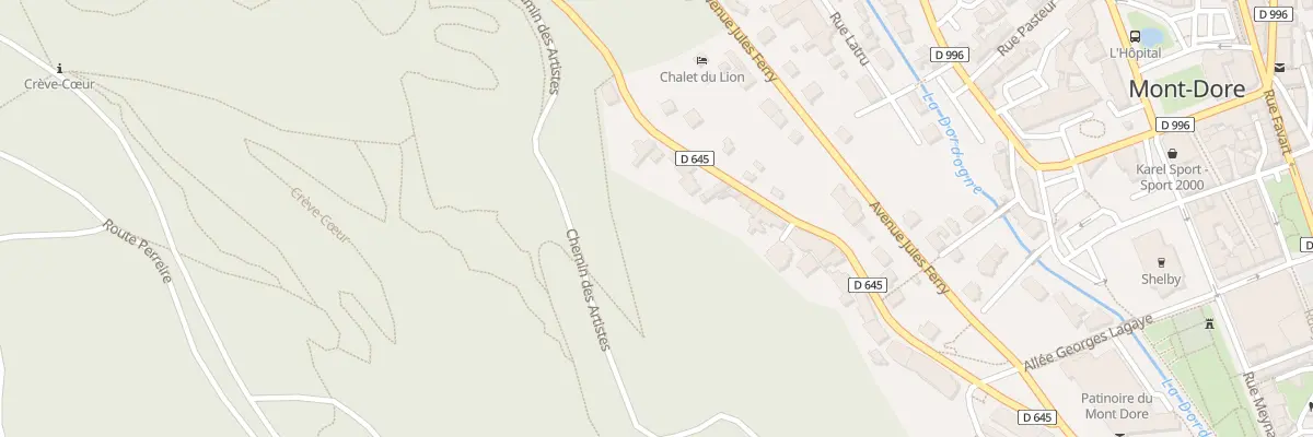 Plan du 55 Av de la Libération à Mont-Dore