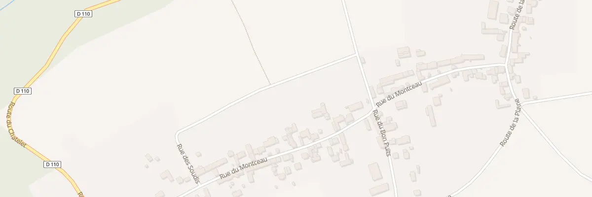 Plan du 31 Rue du Montceau à Féricy