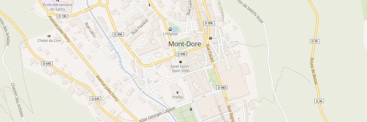 Plan du 1 Rue Meynadier à Mont-Dore