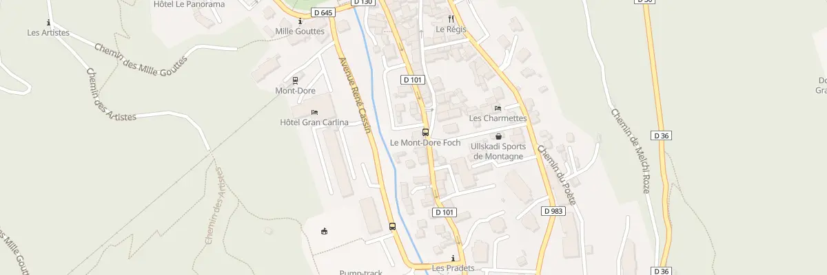 Plan du 28 Av Foch à Mont-Dore
