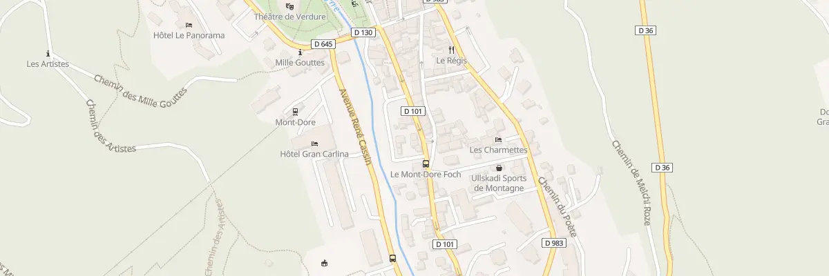 Plan du 22 Av Foch à Mont-Dore