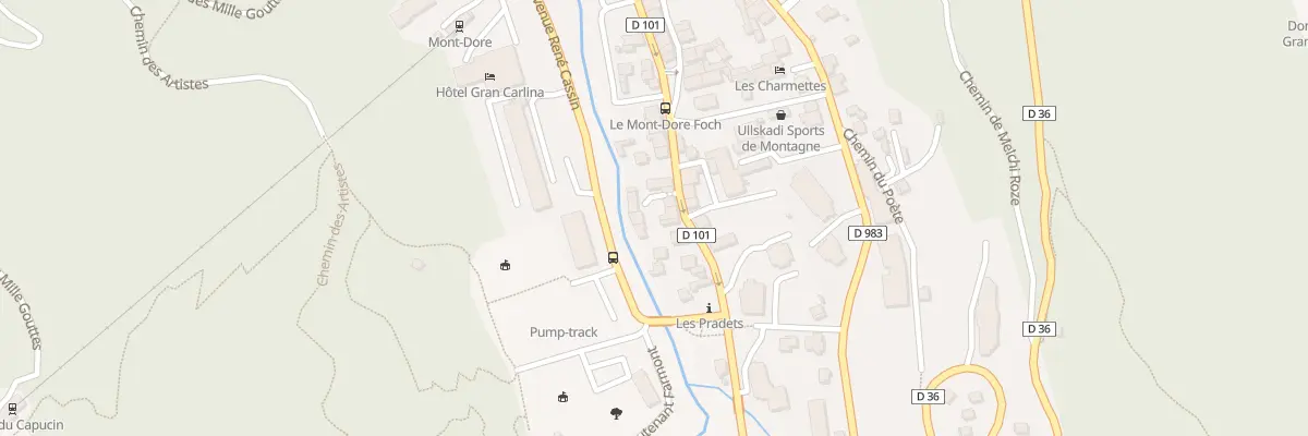 Plan du 12 Rue de la Saigne à Mont-Dore