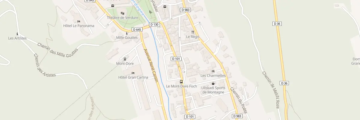 Plan du 24 Rue Louis Dabert à Mont-Dore