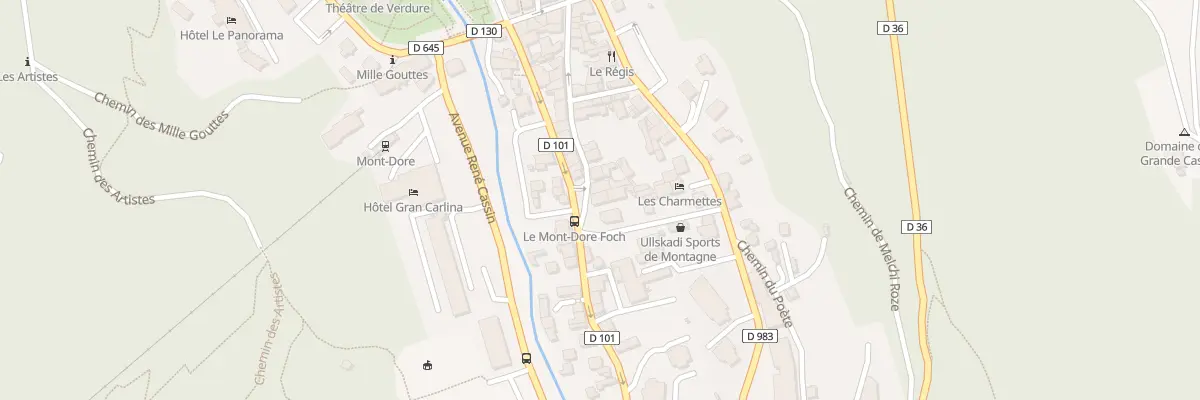 Plan du 31 Rue Louis Dabert à Mont-Dore