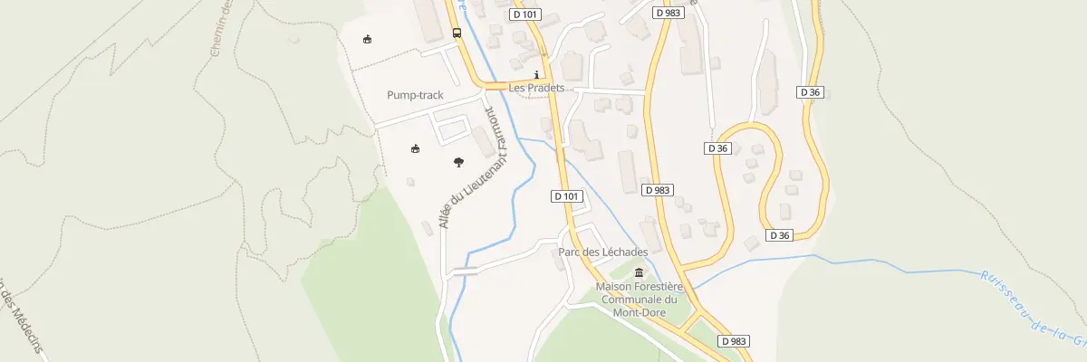 Plan du 21 Rue de la Saigne à Mont-Dore