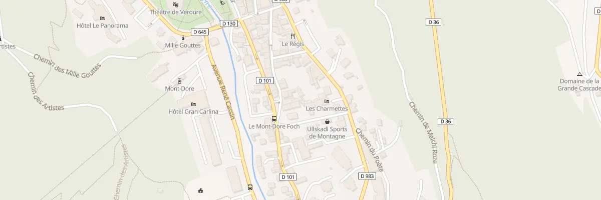 Plan du 5001 Rue Louis Dabert à Mont-Dore